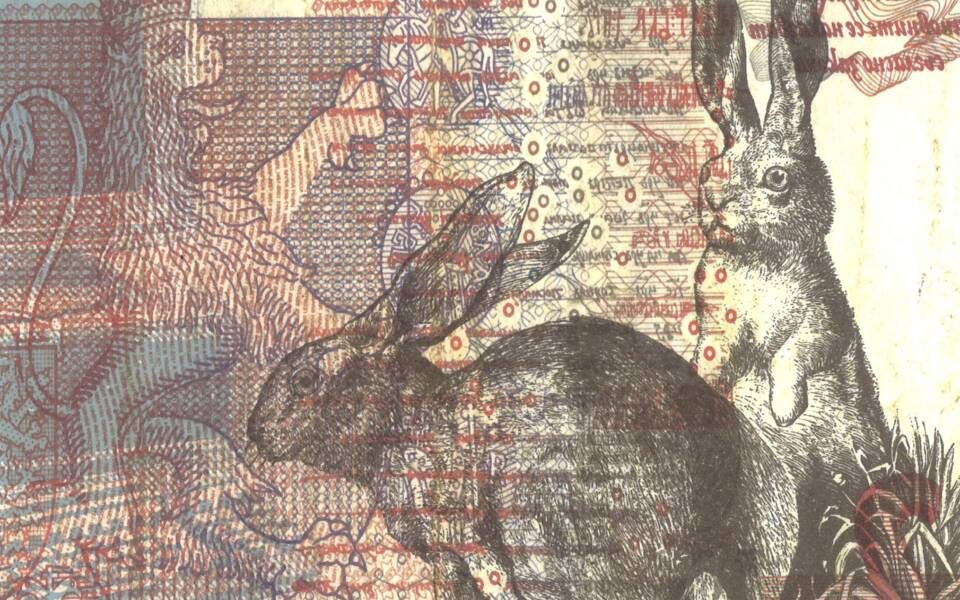 Will Maw, Natural History of Printing Money